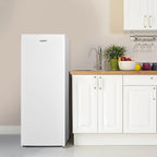 Gefrierschrank RCU160WH2(E) 160 Liter 4-Sterne-Gefrieren bis -24 °C 4 Fächer wechselbarer Türanschlag