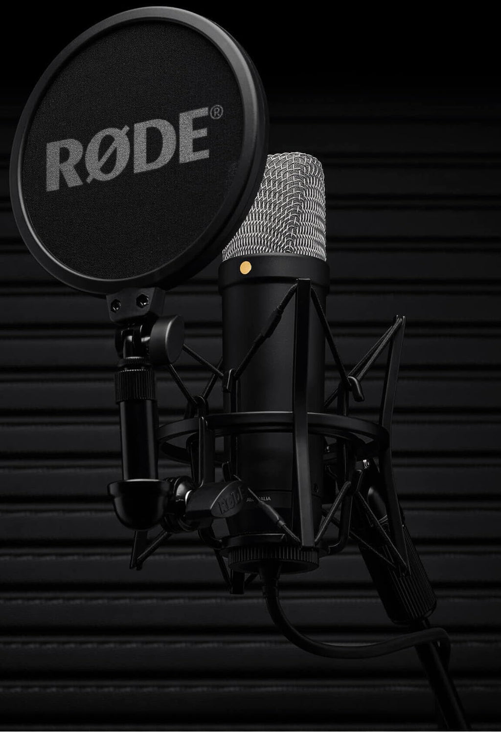 Großmembran Kondensatormikrofon NT1 5. Generation USB XLR 192 kHz mit Mikrofonspinne Popfilter und Kabel