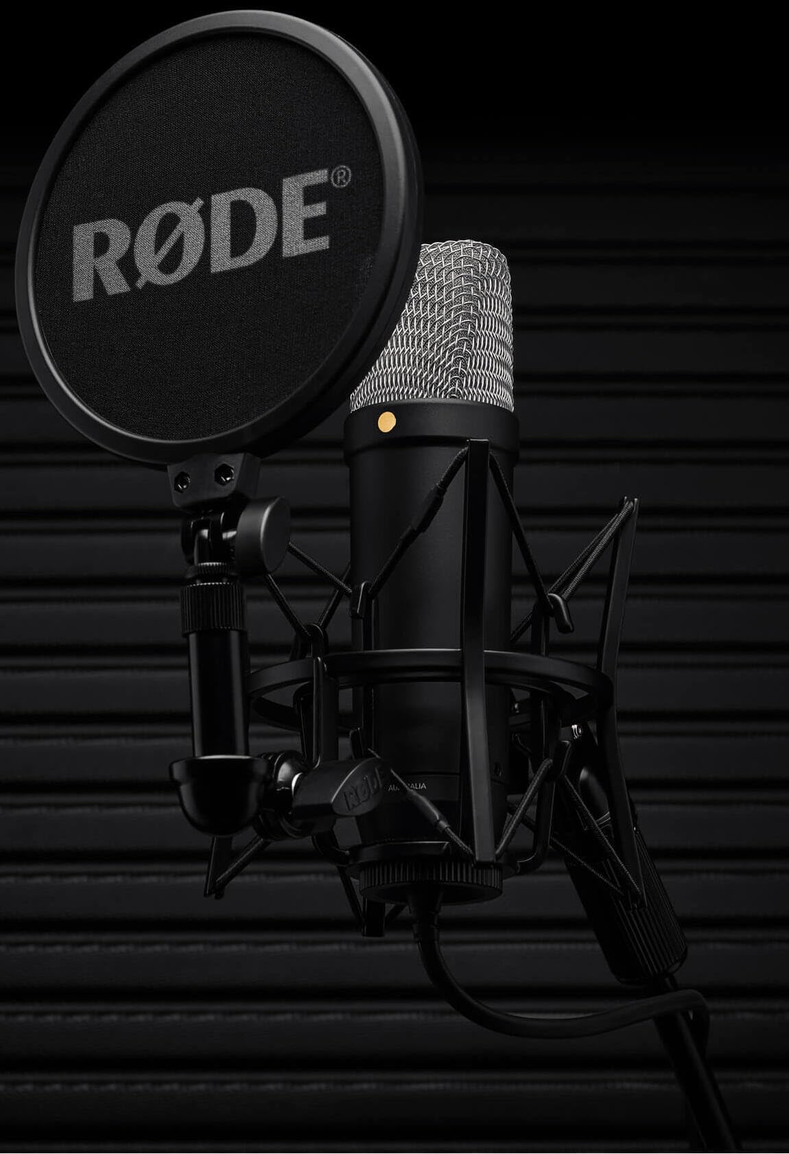 Großmembran Kondensatormikrofon NT1 5. Generation USB XLR 192 kHz mit Mikrofonspinne Popfilter und Kabel