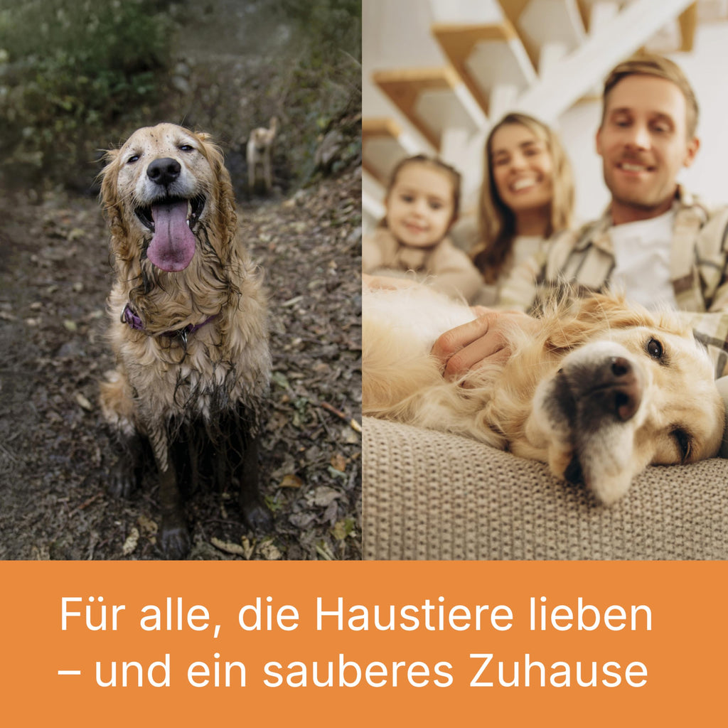 Tierhaar Waschsauger AQUA+ PET & FAMILY 1700 W Wasserfilter Nasssaugen Trockensaugen Wischfunktion