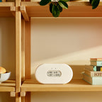 Radon und Luftqualitätsmessgerät View Plus 2960 mit PM2.5 CO2 VOC Feuchtigkeit und Luftdruck
