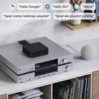 Musik-Streamer für Stereoanlagen Pro mit AirPlay 2 Spotify Connect Hi-Res Audio 24 Bit 192 kHz WLAN Multiroom