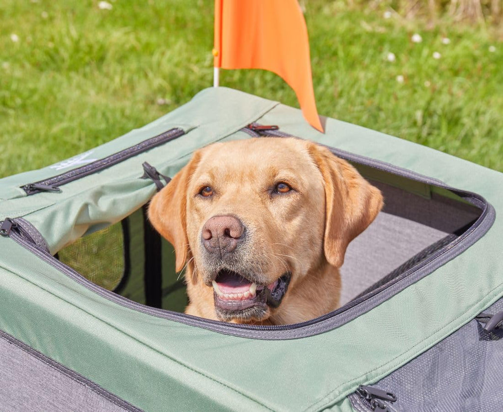 Hundeanhänger & Buggy für Hunde bis 45 kg faltbar 20 Zoll Luftreifen Federung Sicherheitsleine Reflektoren Insektenschutz