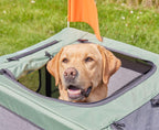 Hundeanhänger & Buggy für Hunde bis 45 kg faltbar 20 Zoll Luftreifen Federung Sicherheitsleine Reflektoren Insektenschutz