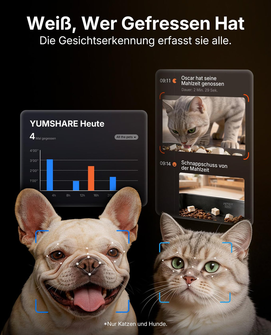 Automatischer Katzen Futterautomat YumShare Dual-Hopper 5 L mit Kamera Gesichtserkennung Doppelbehälter WLAN App Steuerung