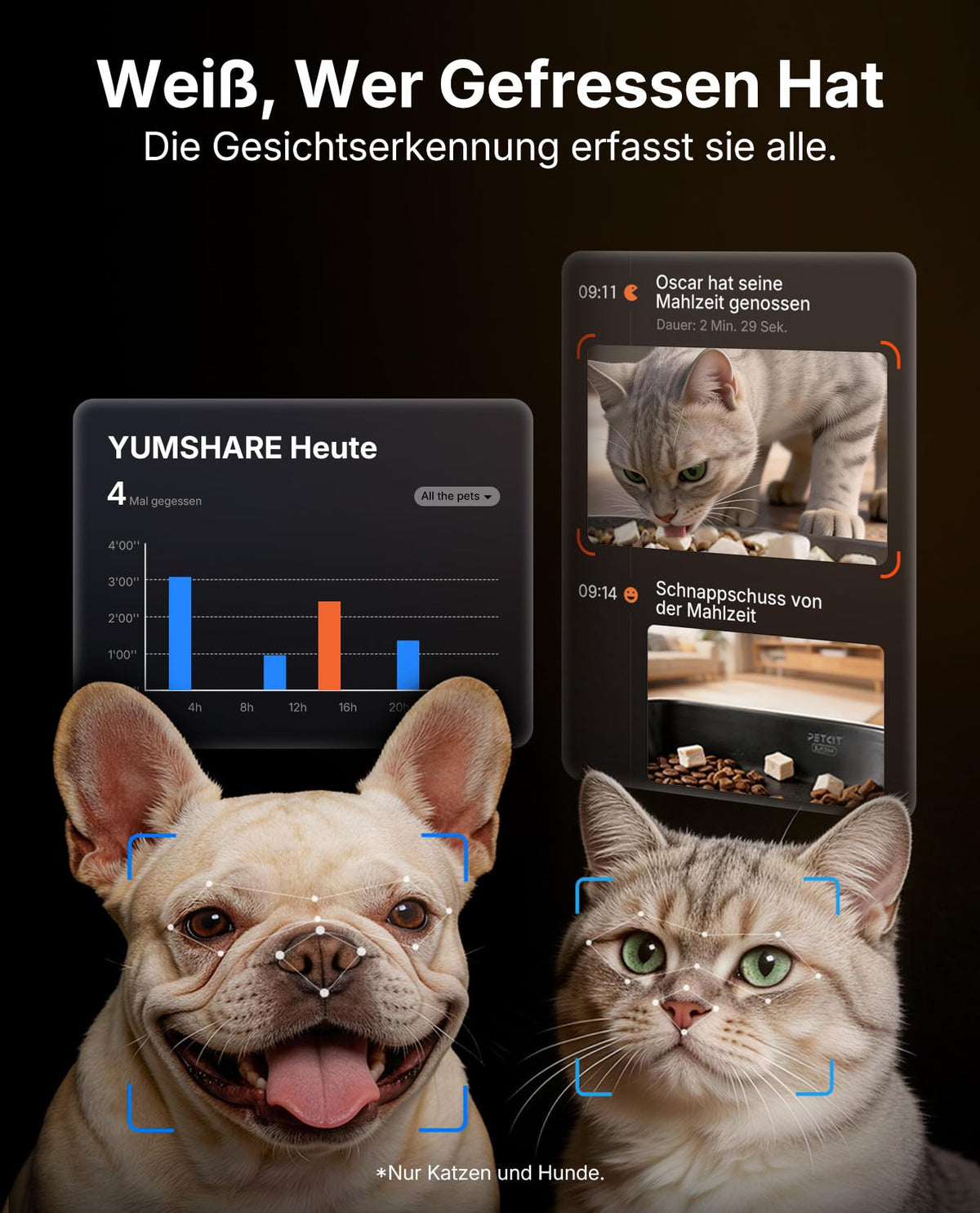 Automatischer Katzen Futterautomat YumShare Dual-Hopper 5 L mit Kamera Gesichtserkennung Doppelbehälter WLAN App Steuerung