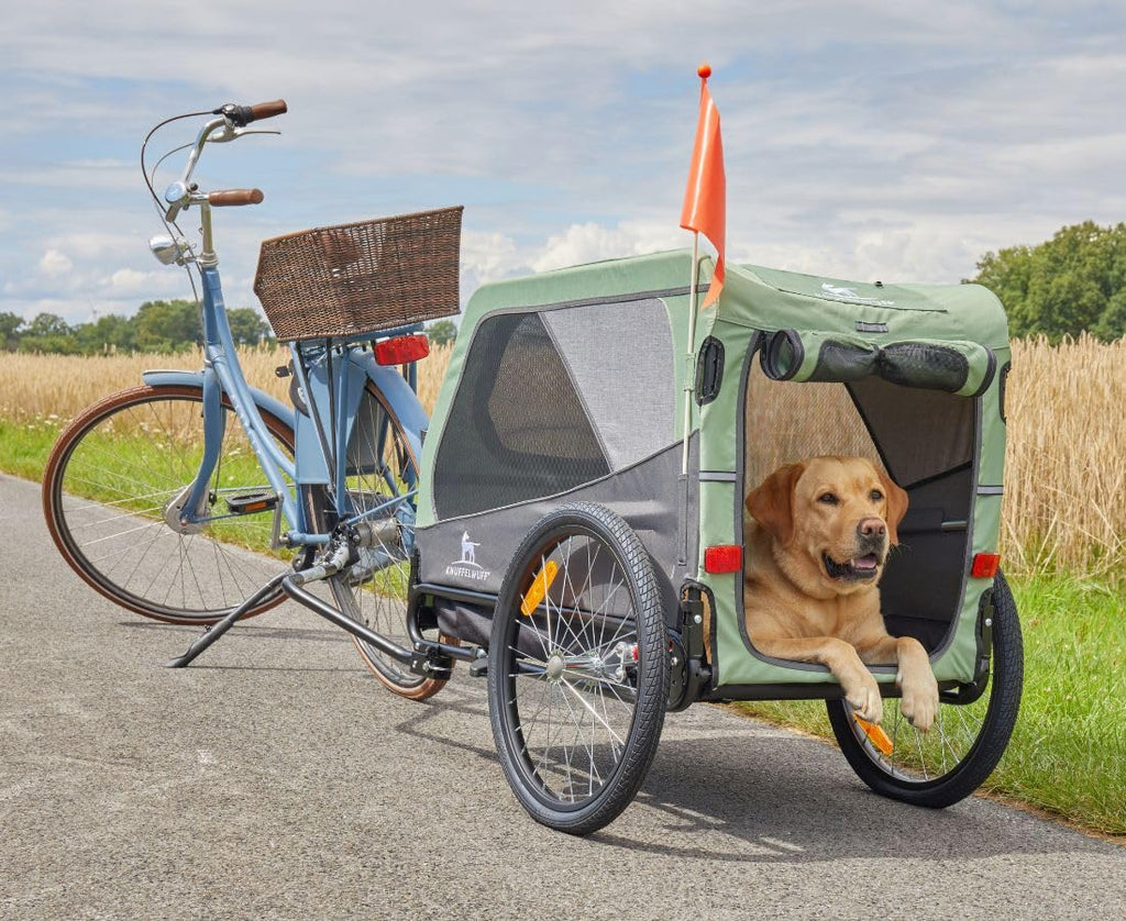 Hundeanhänger & Buggy für Hunde bis 45 kg faltbar 20 Zoll Luftreifen Federung Sicherheitsleine Reflektoren Insektenschutz