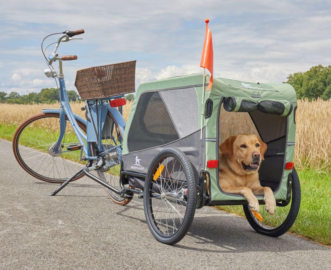 Hundeanhänger & Buggy für Hunde bis 45 kg faltbar 20 Zoll Luftreifen Federung Sicherheitsleine Reflektoren Insektenschutz