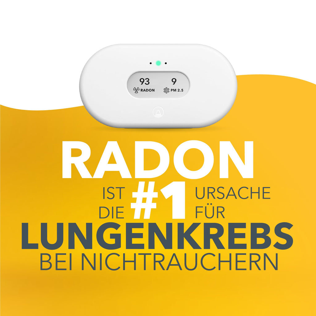 Radon und Luftqualitätsmessgerät View Plus 2960 mit PM2.5 CO2 VOC Feuchtigkeit und Luftdruck