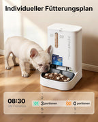 Automatischer Katzen Futterautomat YumShare Dual-Hopper 5 L mit Kamera Gesichtserkennung Doppelbehälter WLAN App Steuerung