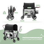 Faltbarer Bollerwagen RO-02 für 2 Kinder mit Dach 5-Punkt-Gurt PU-Rädern Snacktablett und Aluminiumrahmen Grau