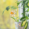 Glasmalerei Sonnenfänger Narzisse Blumenstrauß 7x23 cm Handgefertigt