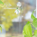 Schneeglöckchen Fensterbehang aus Glas - 3x9 Zoll - Sonnenfänger für Fenster und Pflanzen