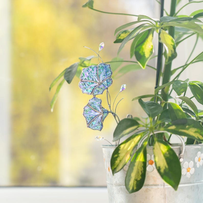 Morning Glory Kristall Sonnenfänger Glasmalerei Fensterschmuck 3x10 Zoll Buntglas