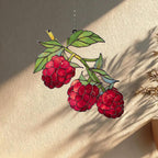 Acryl Suncatcher Himbeere Fensterdeko natur Küchen Dekor Obst Geschenk