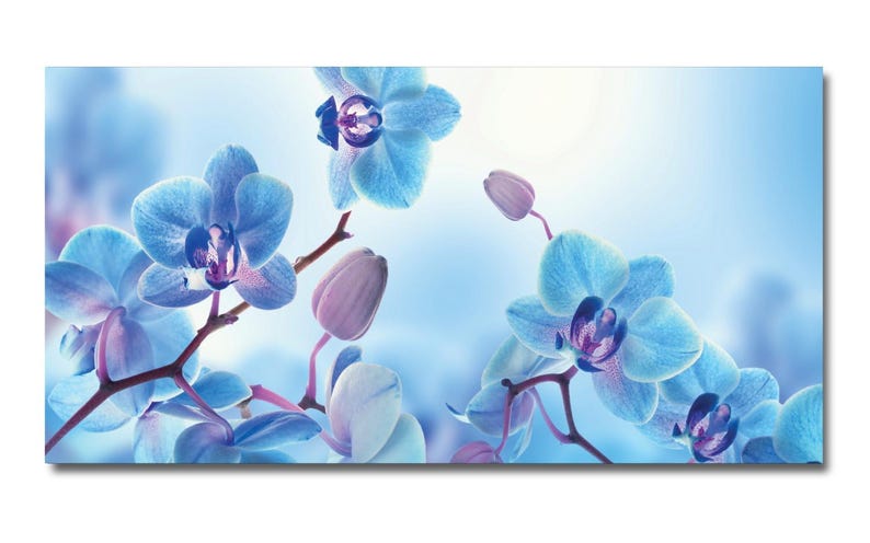 Spritzschutz Küche 3 mm Aluverbundplatte Hitzebeständig - Orchideen