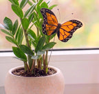 Monarchfalter-Pflanzenstecker aus Buntglas, 2er-Set, Sonnenfänger-Innendekoration