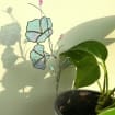 Morning Glory Kristall Sonnenfänger Glasmalerei Fensterschmuck 3x10 Zoll Buntglas